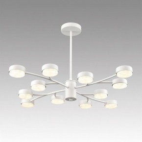 Люстра на штанге Lumion TORINA 8265/12 в Златоусте - zlatoust.ok-mebel.com | фото 3