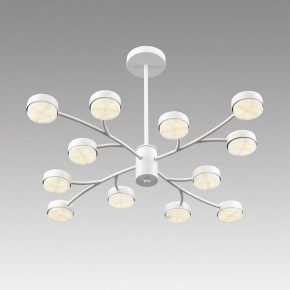 Люстра на штанге Lumion TORINA 8265/12 в Златоусте - zlatoust.ok-mebel.com | фото 5