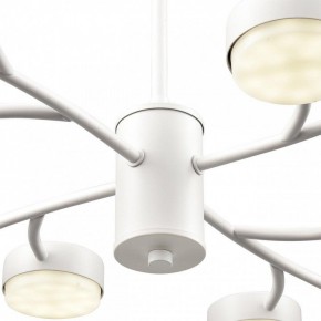 Люстра на штанге Lumion TORINA 8265/12 в Златоусте - zlatoust.ok-mebel.com | фото 8