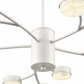 Люстра на штанге Lumion TORINA 8265/15 в Златоусте - zlatoust.ok-mebel.com | фото 8