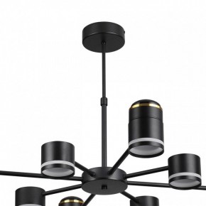 Люстра на штанге Lumion Virsava 8234/8C в Златоусте - zlatoust.ok-mebel.com | фото 5