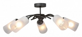 Люстра на штанге Vitaluce V2850 V2850-1/5PL в Златоусте - zlatoust.ok-mebel.com | фото