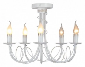 Люстра на штанге Vitaluce V3035 V3035-0/5PL в Златоусте - zlatoust.ok-mebel.com | фото 2