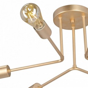 Люстра на штанге Vitaluce V3071 V3071-8/6PL в Златоусте - zlatoust.ok-mebel.com | фото 6
