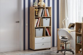 МИЛАН Детская (Дуб Золотой/Белый матовый) в Златоусте - zlatoust.ok-mebel.com | фото 53