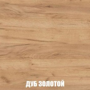 МСП-1 Шкаф 2-х створчатый (Дуб Золотой/Камень темный) в Златоусте - zlatoust.ok-mebel.com | фото 4