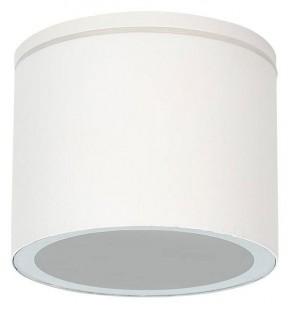 Накладной светильник Arte Lamp Piautos A1913PF-1WH в Златоусте - zlatoust.ok-mebel.com | фото