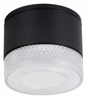 Накладной светильник Arte Lamp Piautos A1926PF-1BK в Златоусте - zlatoust.ok-mebel.com | фото