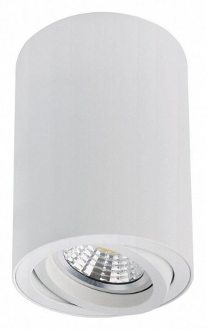 Накладной светильник Arte Lamp Sentry A1566PL-1WH в Златоусте - zlatoust.ok-mebel.com | фото