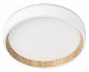 Накладной светильник Citilux Etalon CL750180 в Златоусте - zlatoust.ok-mebel.com | фото