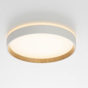 Накладной светильник Citilux Etalon CL750240 в Златоусте - zlatoust.ok-mebel.com | фото 12