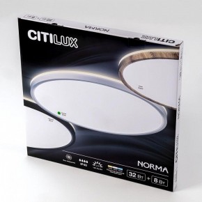 Накладной светильник Citilux Norma CL748400 в Златоусте - zlatoust.ok-mebel.com | фото 8