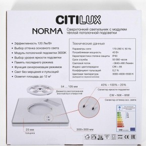 Накладной светильник Citilux Norma CL748K301 в Златоусте - zlatoust.ok-mebel.com | фото 8