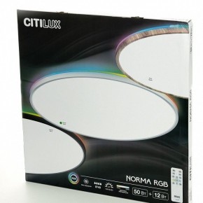 Накладной светильник Citilux NORMA CL749600 в Златоусте - zlatoust.ok-mebel.com | фото 8