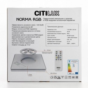 Накладной светильник Citilux Norma CL749K301 в Златоусте - zlatoust.ok-mebel.com | фото 10