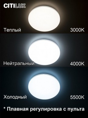 Накладной светильник Citilux Симпла CL714330G в Златоусте - zlatoust.ok-mebel.com | фото 4