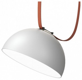 Накладной светильник Denkirs Belty Flow DK5562-WH+BK в Златоусте - zlatoust.ok-mebel.com | фото
