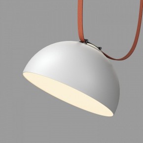 Накладной светильник Denkirs Belty Flow DK5563-WH+BK в Златоусте - zlatoust.ok-mebel.com | фото 2