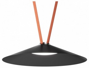 Накладной светильник Denkirs Belty Flow DK5568-BK в Златоусте - zlatoust.ok-mebel.com | фото 2