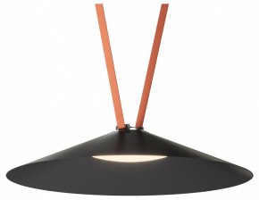 Накладной светильник Denkirs Belty Flow DK5569-BK в Златоусте - zlatoust.ok-mebel.com | фото 2