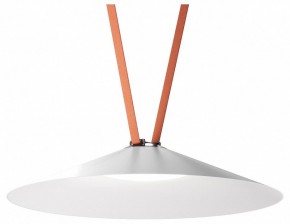 Накладной светильник Denkirs Belty Flow DK5668-WH+BK в Златоусте - zlatoust.ok-mebel.com | фото 2