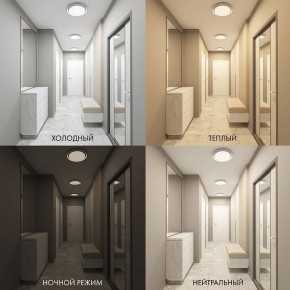 Накладной светильник Denkirs Cany DK6516-WH в Златоусте - zlatoust.ok-mebel.com | фото 2