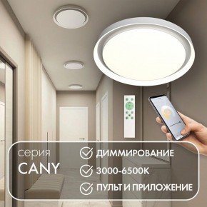 Накладной светильник Denkirs Cany DK6516-WH в Златоусте - zlatoust.ok-mebel.com | фото 4