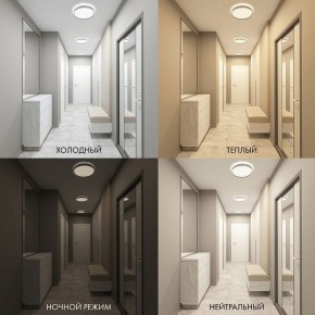 Накладной светильник Denkirs PLATO DK6510-WH в Златоусте - zlatoust.ok-mebel.com | фото 2