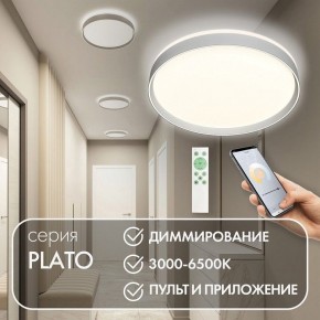 Накладной светильник Denkirs PLATO DK6511-WH/1 в Златоусте - zlatoust.ok-mebel.com | фото 4