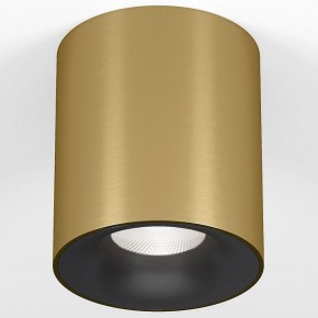 Накладной светильник Elektrostandard Primo 25116/LED в Златоусте - zlatoust.ok-mebel.com | фото 2