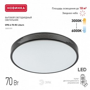 Накладной светильник Эра Классик SPB-6-70-RC Liburn в Златоусте - zlatoust.ok-mebel.com | фото 10