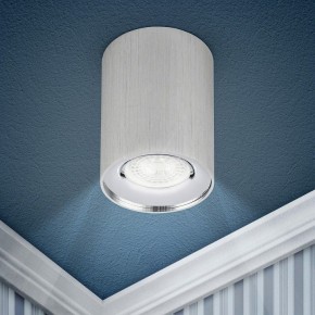 Накладной светильник Эра  OL1 GU10 SL/CH в Златоусте - zlatoust.ok-mebel.com | фото 3