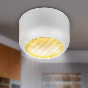 Накладной светильник Эра  OL56 WH в Златоусте - zlatoust.ok-mebel.com | фото 8