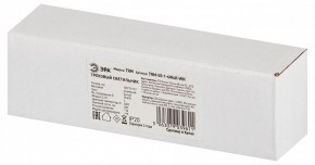 Накладной светильник Эра  TRM-S5-1-6W4K-WH в Златоусте - zlatoust.ok-mebel.com | фото 6