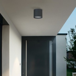Накладной светильник Favourite Fantum 4663-1U в Златоусте - zlatoust.ok-mebel.com | фото 3