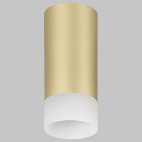 Накладной светильник Imex LEON GU10 IL.0005.4800 MG в Златоусте - zlatoust.ok-mebel.com | фото 1