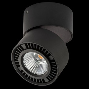 Накладной светильник Lightstar Forte Muro 214817 в Златоусте - zlatoust.ok-mebel.com | фото 2