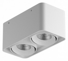 Накладной светильник Lightstar Monocco 052126-IP65 в Златоусте - zlatoust.ok-mebel.com | фото