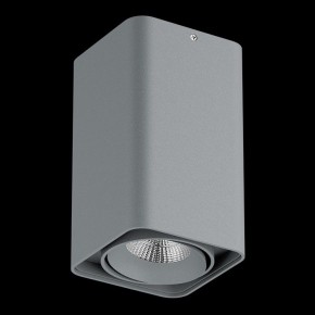 Накладной светильник Lightstar Monocco 052139-IP65 в Златоусте - zlatoust.ok-mebel.com | фото 2
