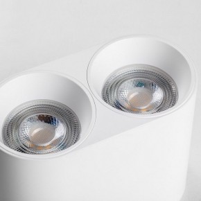 Накладной светильник Lightstar Rullo 213466 в Златоусте - zlatoust.ok-mebel.com | фото 6