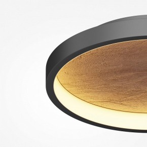 Накладной светильник Maytoni Orign MOD311CL-L40B3K в Златоусте - zlatoust.ok-mebel.com | фото 3