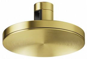 Накладной светильник Maytoni Plato TR152-1-7W4K-BS в Златоусте - zlatoust.ok-mebel.com | фото