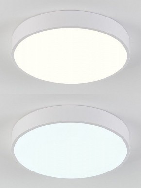 Накладной светильник Natali Kovaltseva  LED LAMPS 81111/5C в Златоусте - zlatoust.ok-mebel.com | фото 4