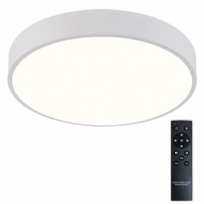 Накладной светильник Natali Kovaltseva  LED LAMPS 81112/5C в Златоусте - zlatoust.ok-mebel.com | фото 2