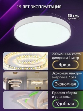 Накладной светильник Natali Kovaltseva  LED LAMPS 81112/5C в Златоусте - zlatoust.ok-mebel.com | фото 4