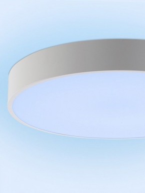 Накладной светильник Natali Kovaltseva MODERN LED LAMPS 81105/1C в Златоусте - zlatoust.ok-mebel.com | фото 11