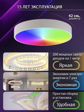 Накладной светильник Natali Kovaltseva MODERN LED LAMPS 81105/1C в Златоусте - zlatoust.ok-mebel.com | фото 6
