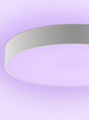 Накладной светильник Natali Kovaltseva MODERN LED LAMPS 81105/1C в Златоусте - zlatoust.ok-mebel.com | фото 9
