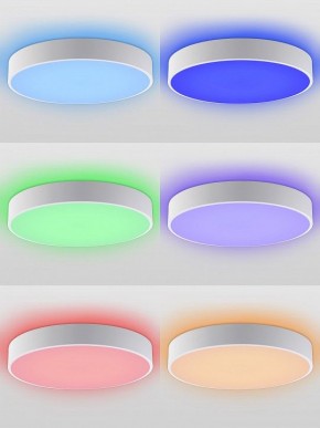 Накладной светильник Natali Kovaltseva MODERN LED LAMPS 81105/2C в Златоусте - zlatoust.ok-mebel.com | фото 5