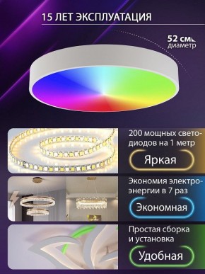 Накладной светильник Natali Kovaltseva MODERN LED LAMPS 81105/2C в Златоусте - zlatoust.ok-mebel.com | фото 6